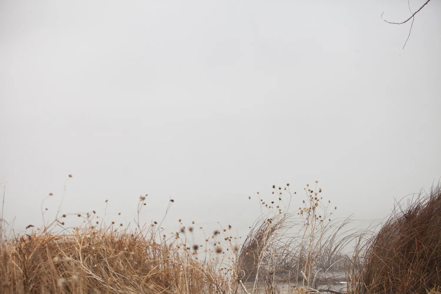 river fog