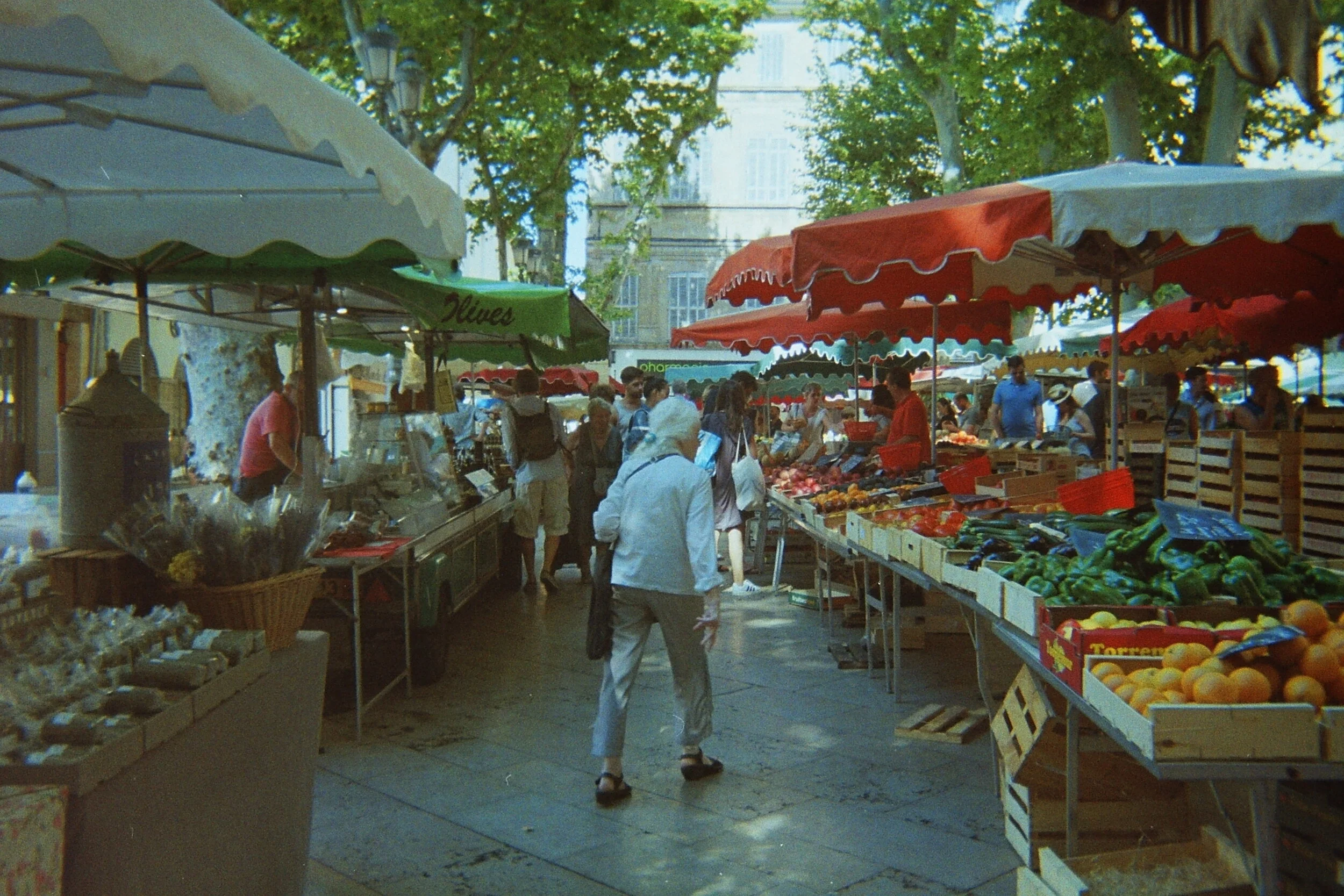 PICT0005.JPG