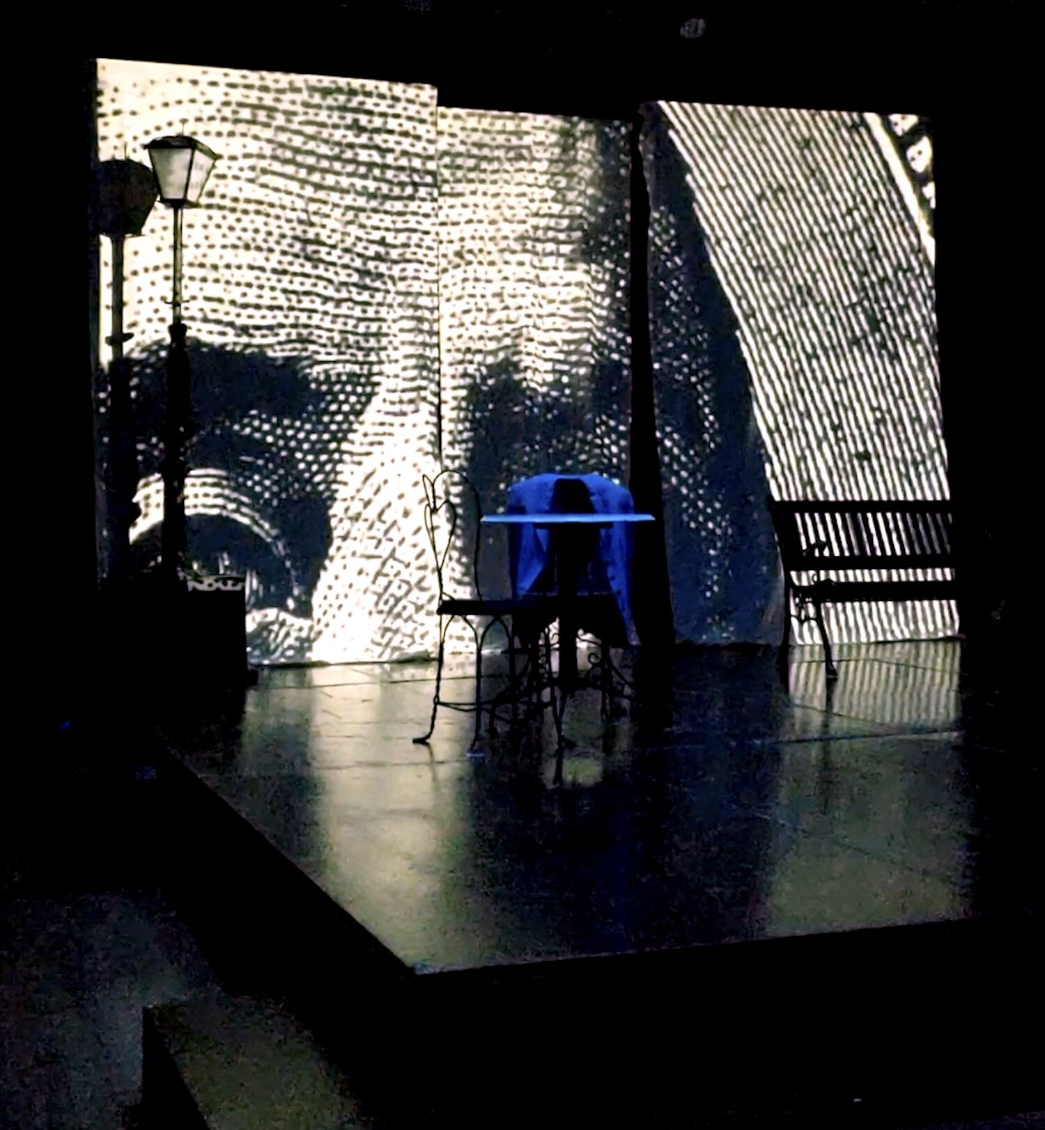 1st show_Seagulls by Caryl Churchill_Projections_SetDesign.jpg