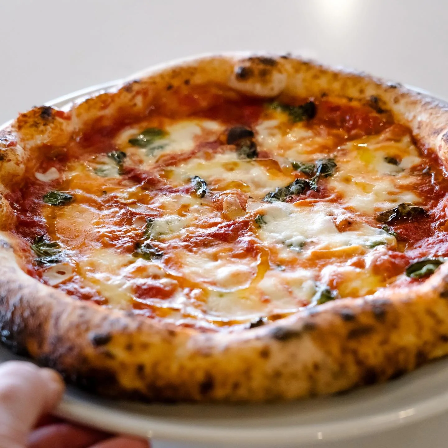 It&rsquo;s a Margherita Monday @ozzyspizzeriawatsonville 🍕🍻 $15 for a margherita pizza for the win!

#smallbusiness #supportsmallbusiness #smallbusinessowner #shopsmall #shoplocal #supportlocal #entrepreneur #business #love #localbusiness #explorep