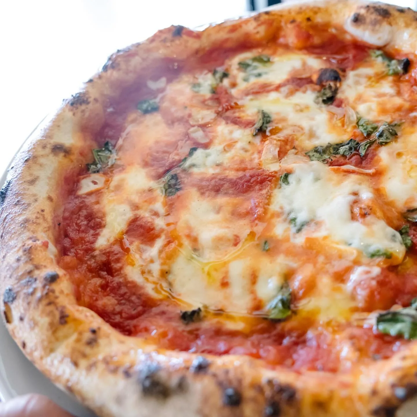 Margherita Monday is calling. 🍕 Start your week with Ozzy&rsquo;s $17 margherita pizza, wood‑fired, sourdough crust, and all the cozy neighborhood vibes you love.  Swing by for lunch or dinner tonight and make Monday your new favorite pizza night.

