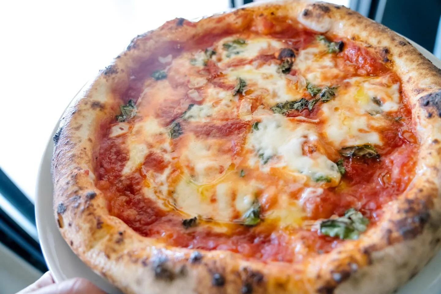 Mondays hit different when you&rsquo;re at East Lake Village Shopping Center&mdash;let the crew at @ozzyspizzeriawatsonville make you a pizza and suddenly it&rsquo;s not so bad after all.

#MargheritaMonday #EastLakeVillageShoppingCenter #OzzysPizzer