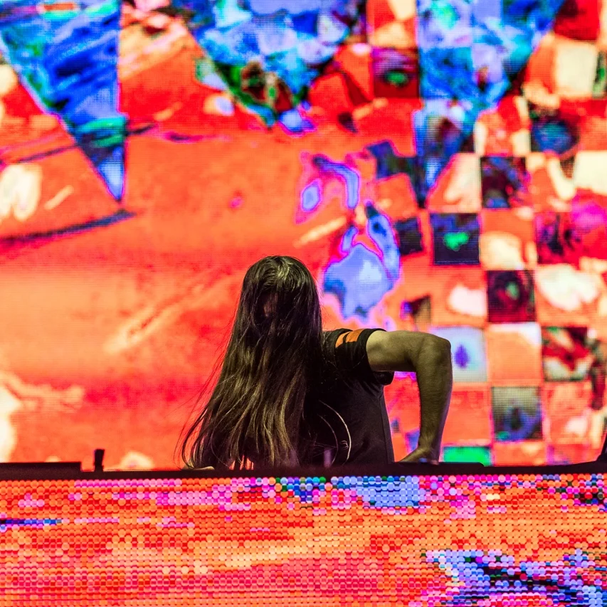 Bassnectar.jpg