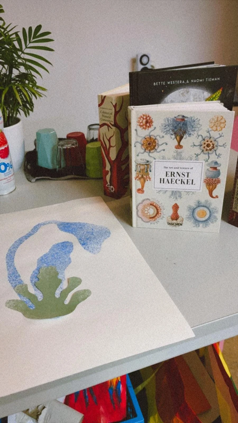 WhatsApp Image 2025-11-06 at 16.21.39.jpeg