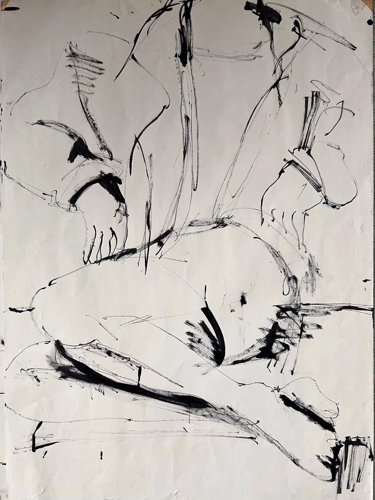 WhatsApp Image 2025-11-24 at 15.42.06-2.jpeg