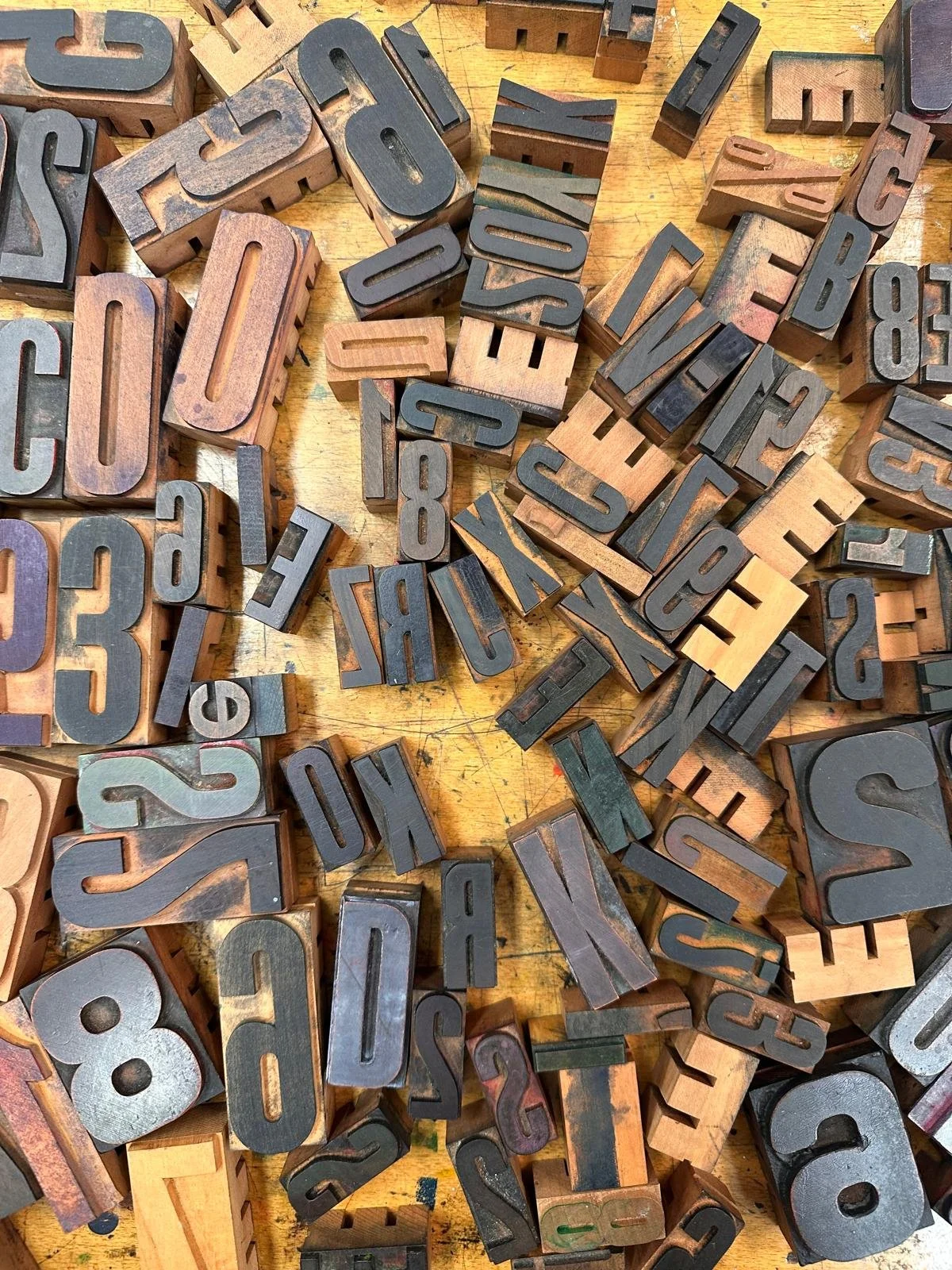 WhatsApp Image 2025-12-04 at 11.01.41-3.jpeg