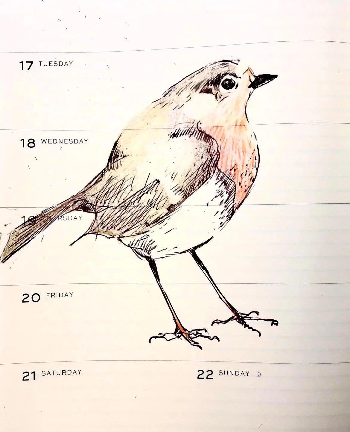 WhatsApp Image 2025-12-20 at 22.46.45.jpeg