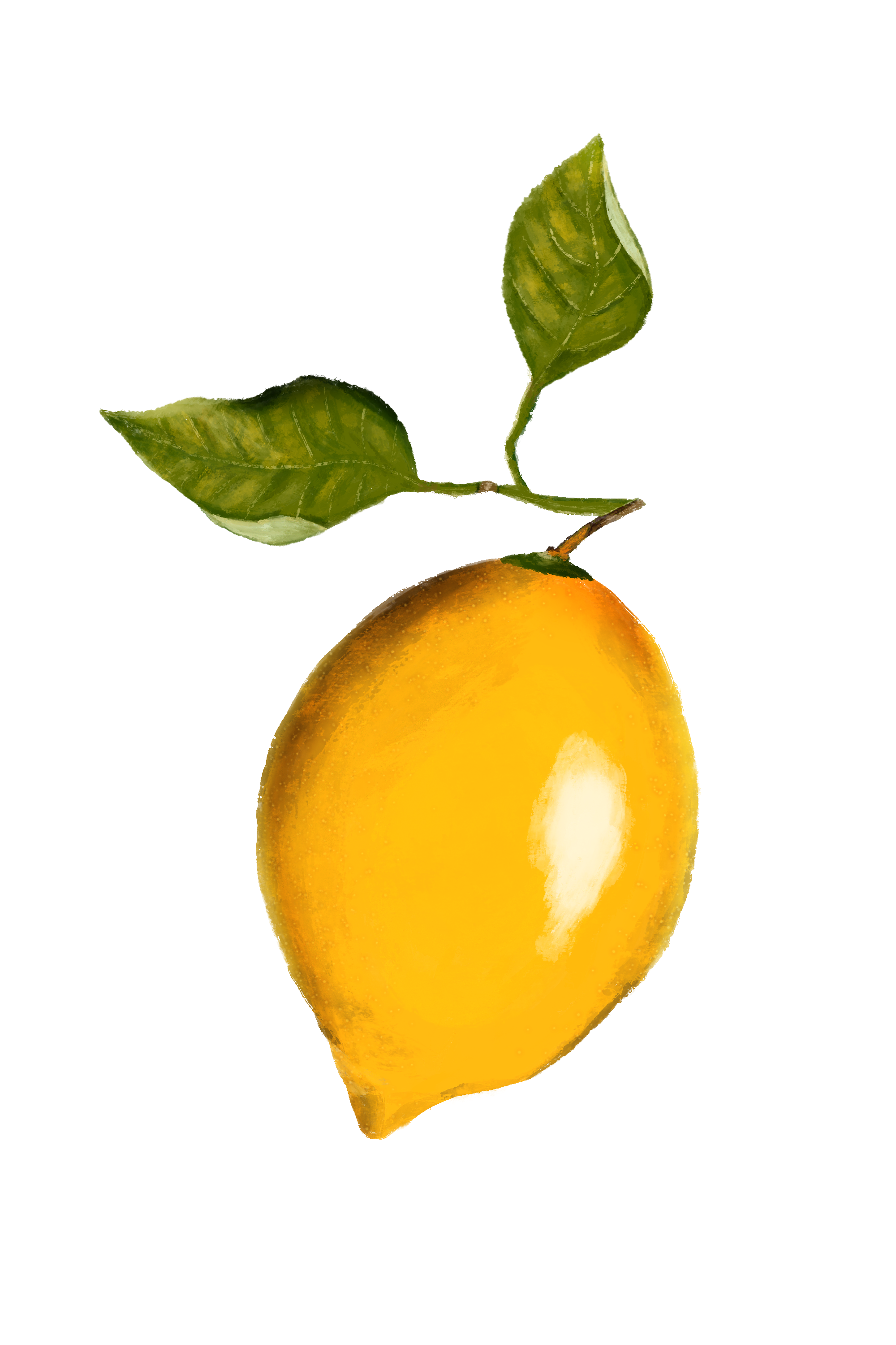 taylormadebykate-lemon-7898120.png