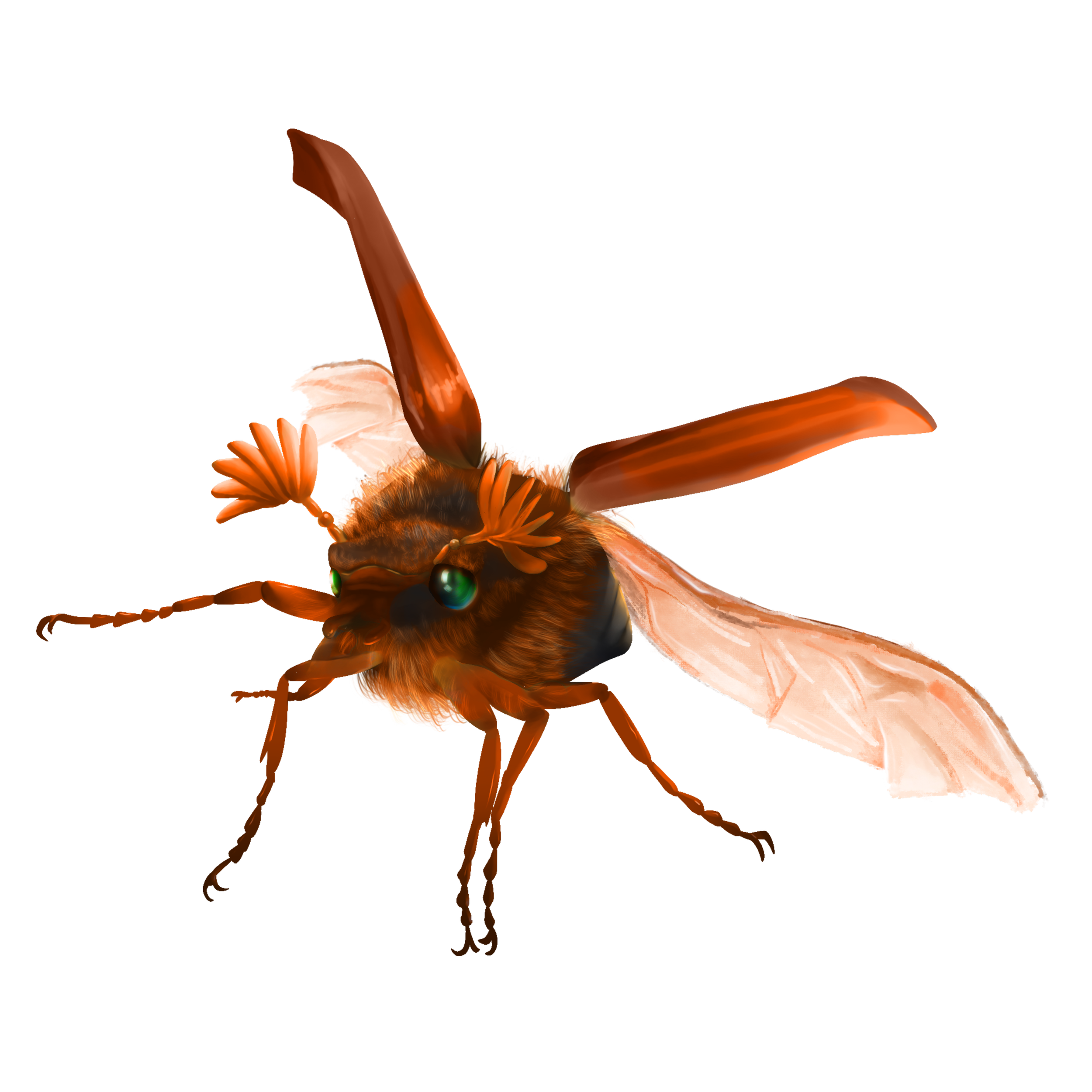timebecreative-beetle-7268735.png