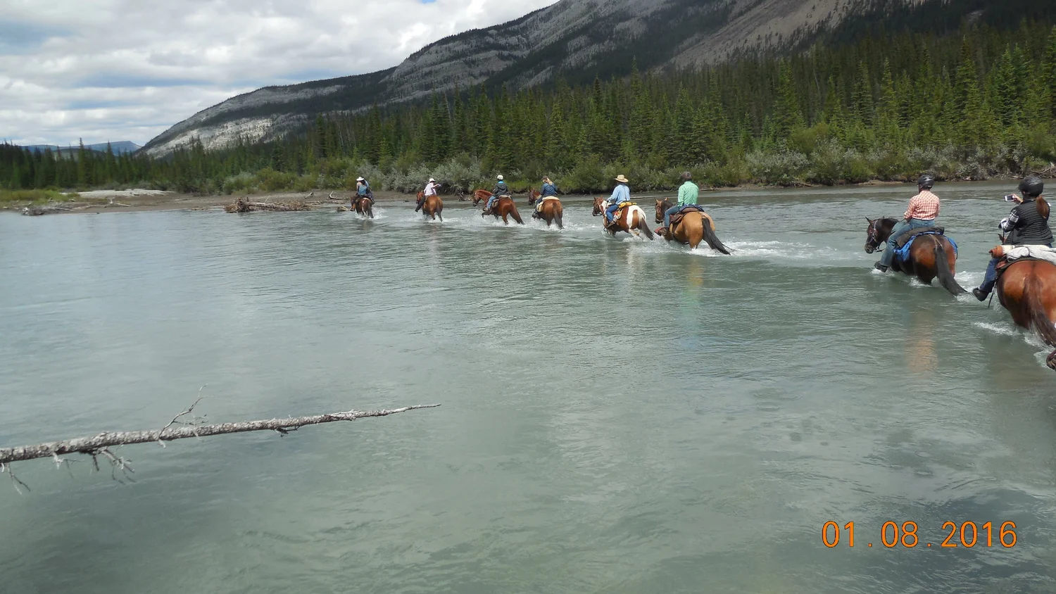 Alberta Trail Riding Association