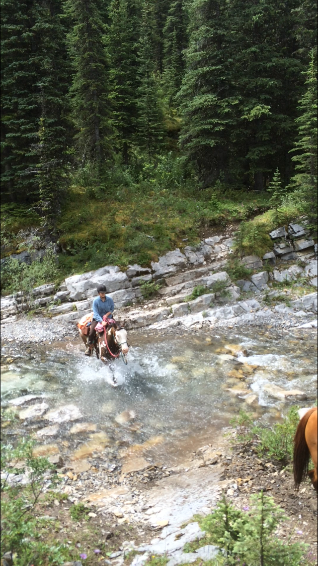 Alberta Trail Riding Association