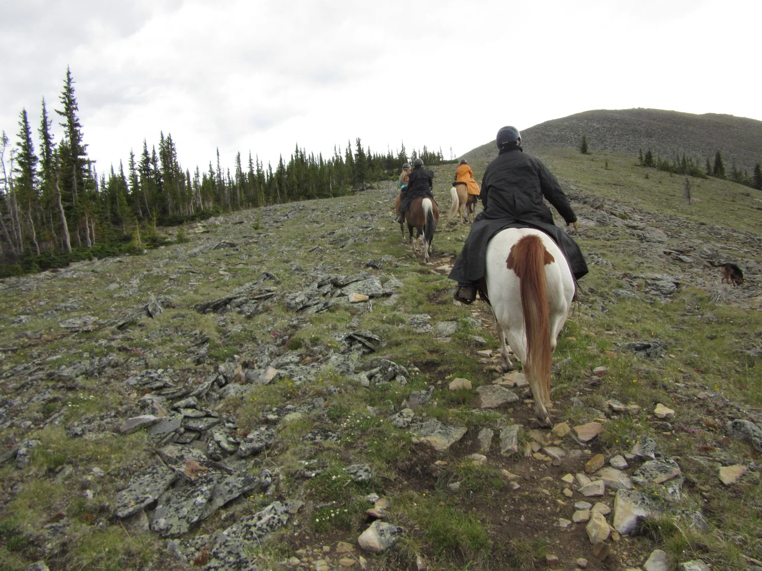 Alberta Trail Riding Association