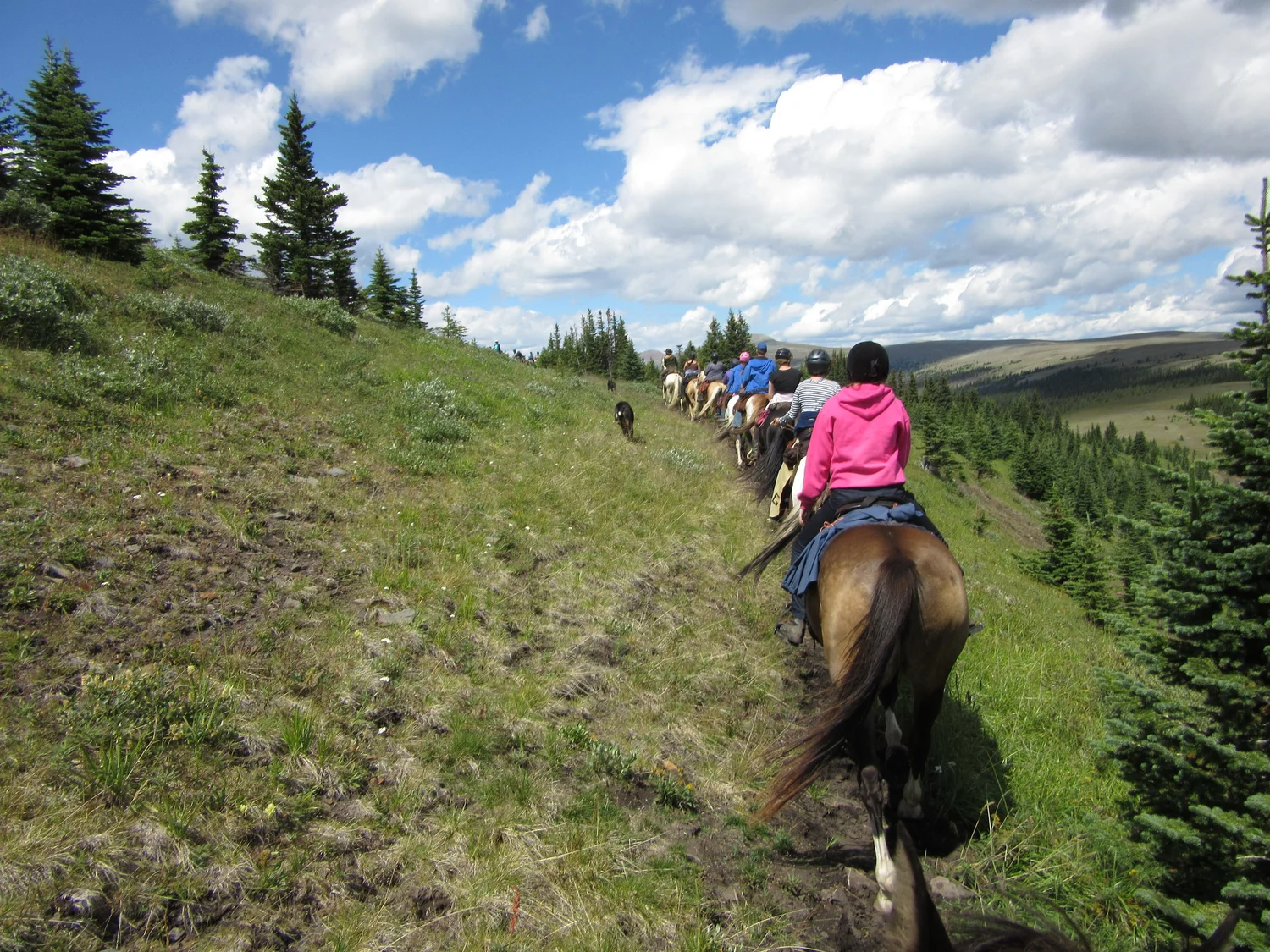 Alberta Trail Riding Association