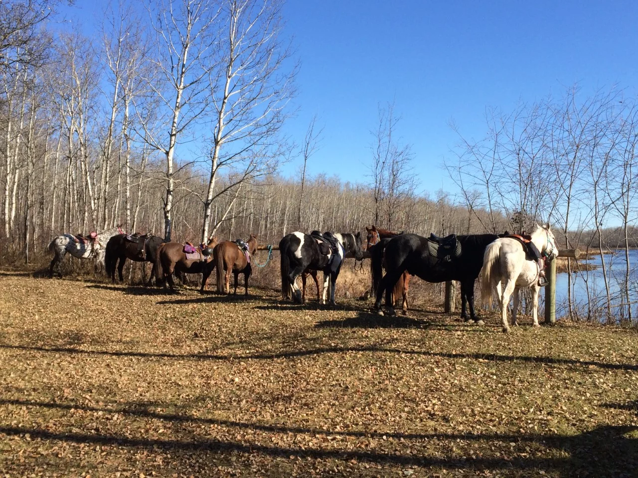 Day Trail Ride April 24