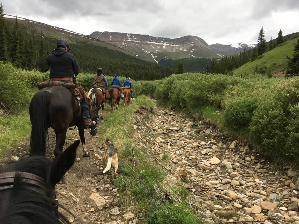 JULY 2-9 Hummingbird Mountain Camping Trip &amp; Maintenance 2022 -please check the condition of the road into campgrOund Before leaving for this trip!