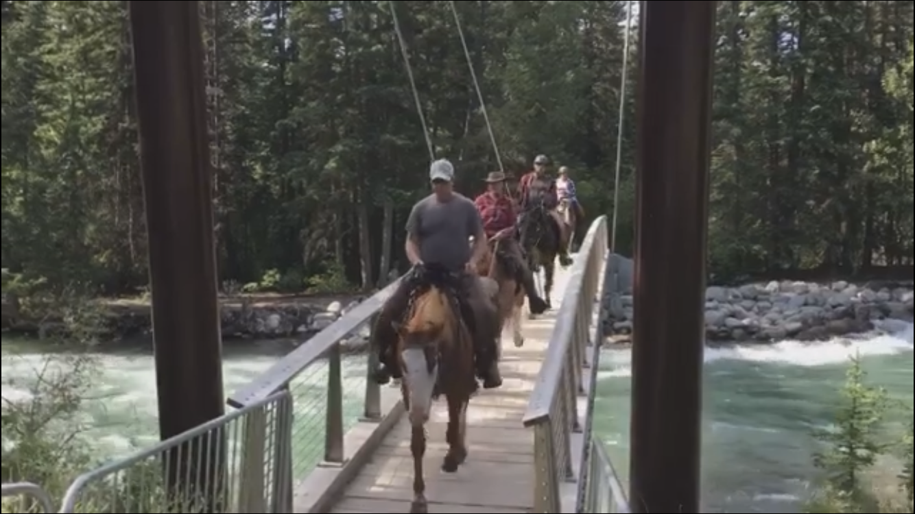 jasper maligne bridge.png