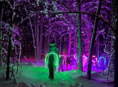 ATRA Winter Social Illuminated Trail Ride / Nite Lite Sleigh Ride