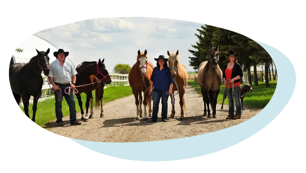 Equine First Aid  - Paradise Acres Ranch