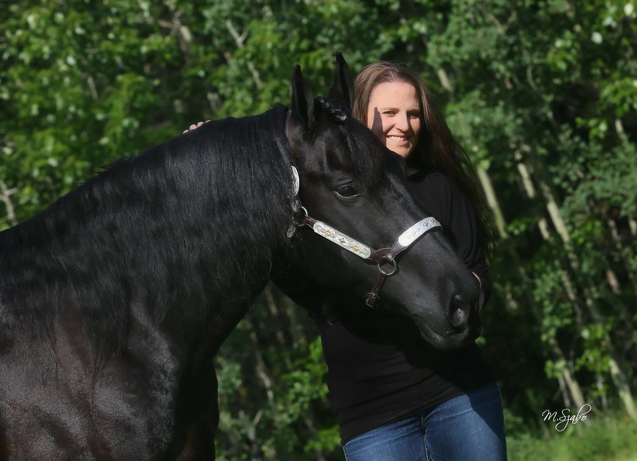 Western Dressage (Cardiff) - Tamara Turgeon  
