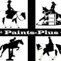 Beginner Jumping Clinic - Lisa Harrison - Paints Plus Equine Center