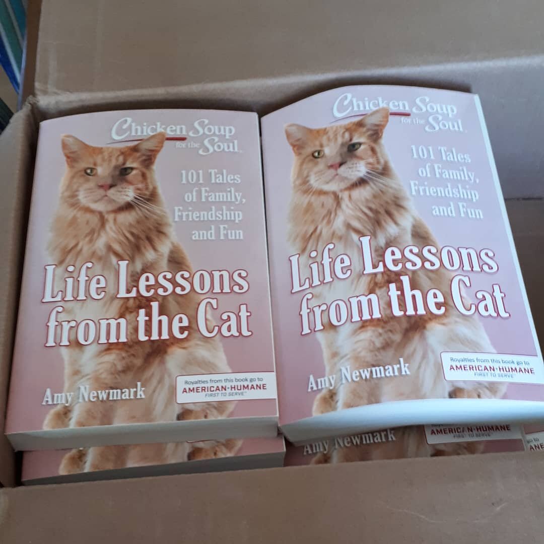 Launch date today. Proud to be a contributor to this anthology and my box of books arrived a as a lovely surprise 
#chickensoup #chickennsoupforthesoul 
#truelife 
#readersandwriters