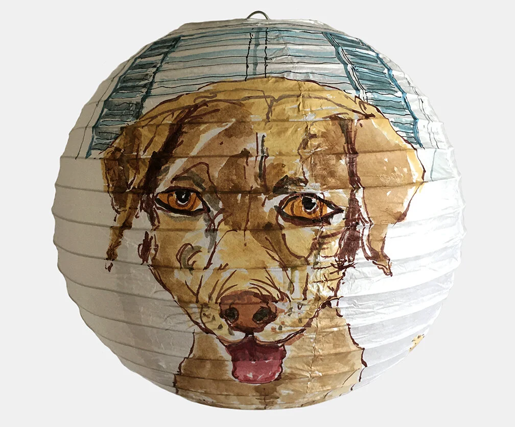 JunoDogB1_0120.jpg