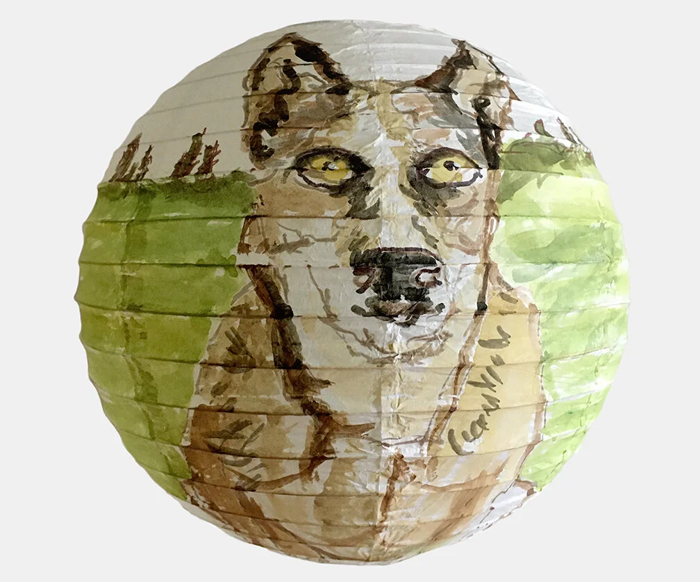 AussieSheepDogBk_1725.jpg