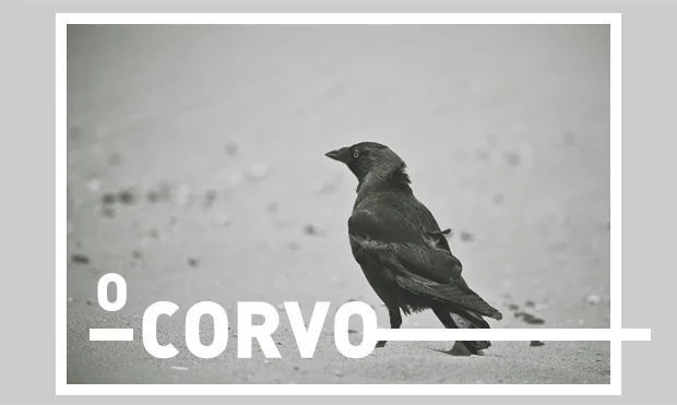 O corvo