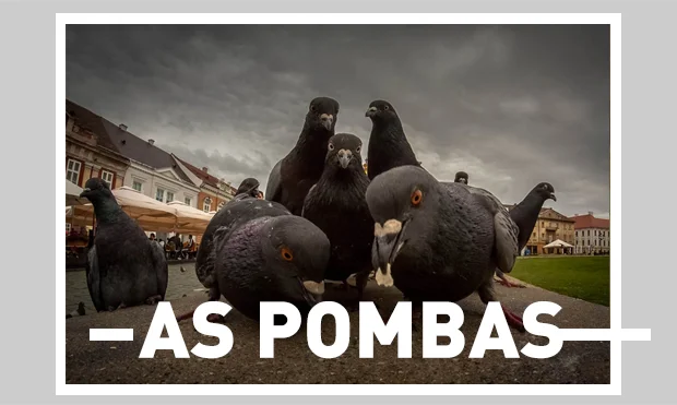 As pombas