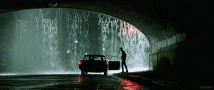 tenor-gif.gif