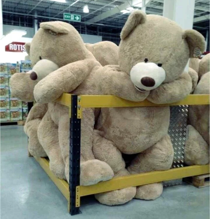 8d9cf5f3-8f64-4185-9fca-9358bfe93e49-892ec44b-baf3-44d0-be83-37d0f7a34ff8_compressed_40 (1).jpg