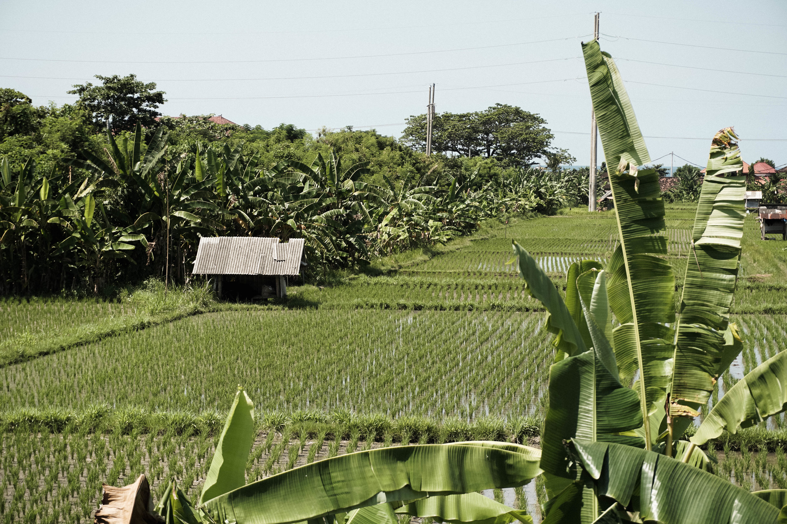 The Samata in Bali, Indonesia