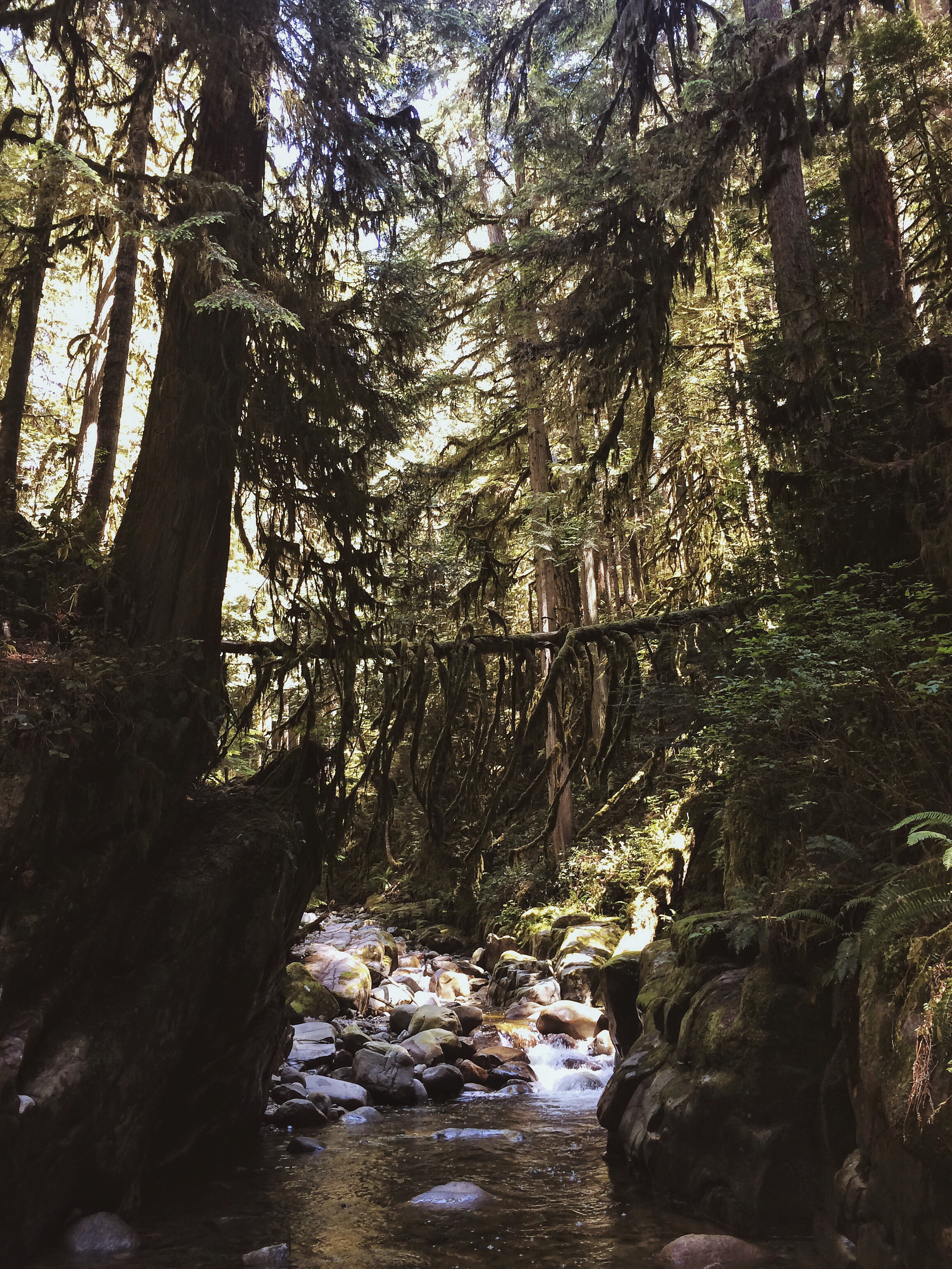 Hiking in Vancouver, British Columbia