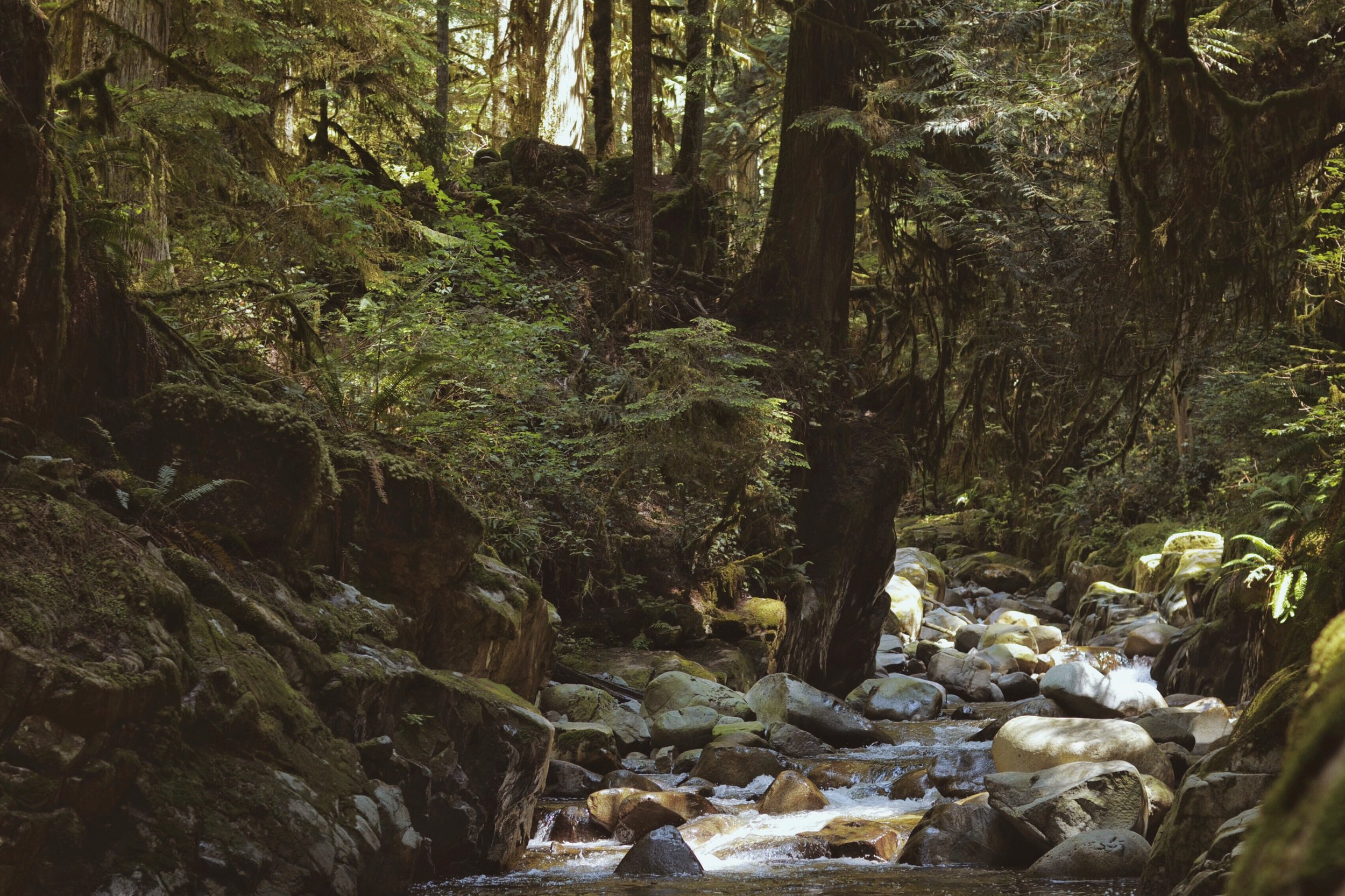 Hiking in Vancouver, British Columbia