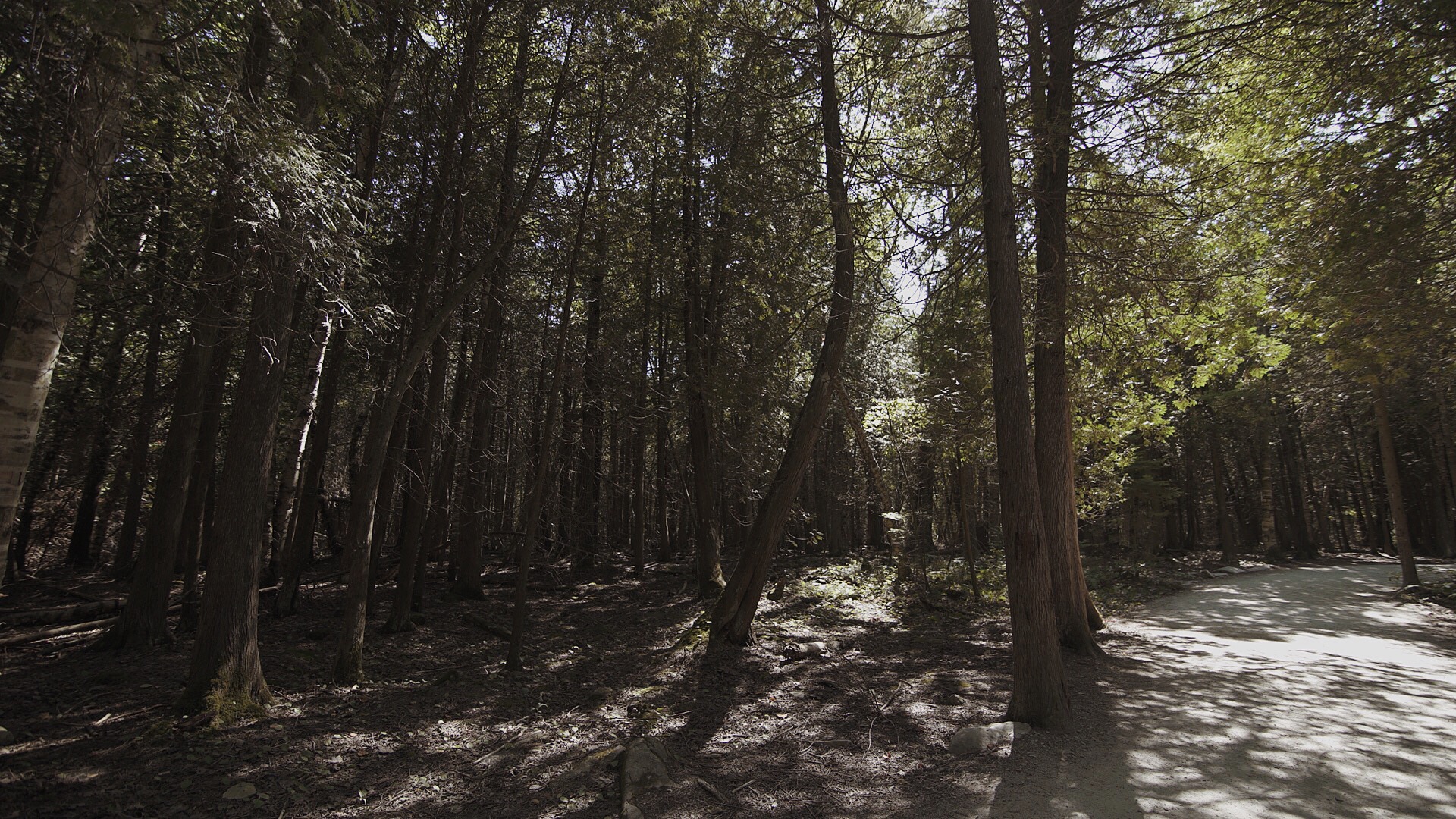 Camping in the Bruce Peninsula in Northern Ontario