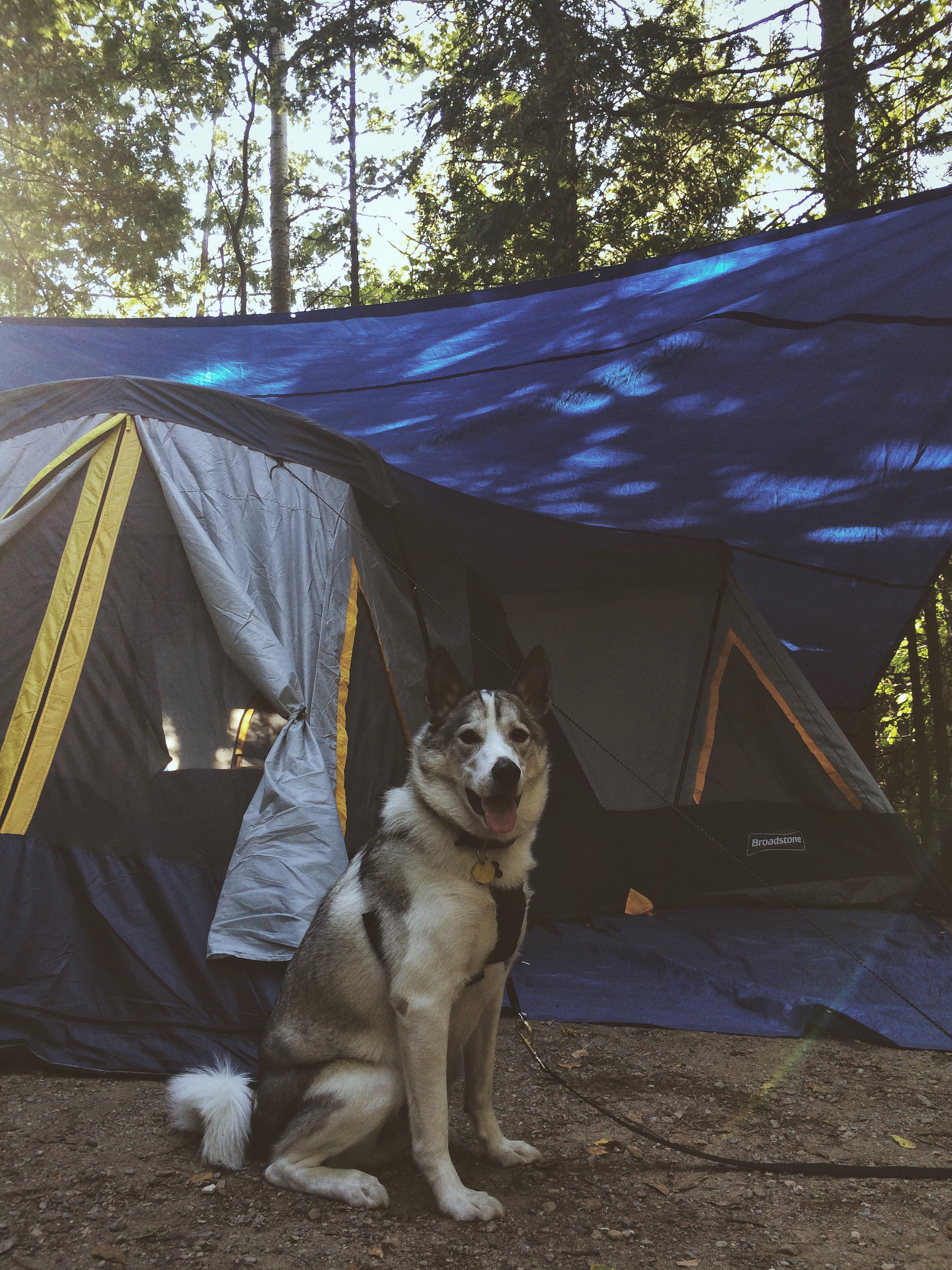 Camping in the Bruce Peninsula in Northern Ontario