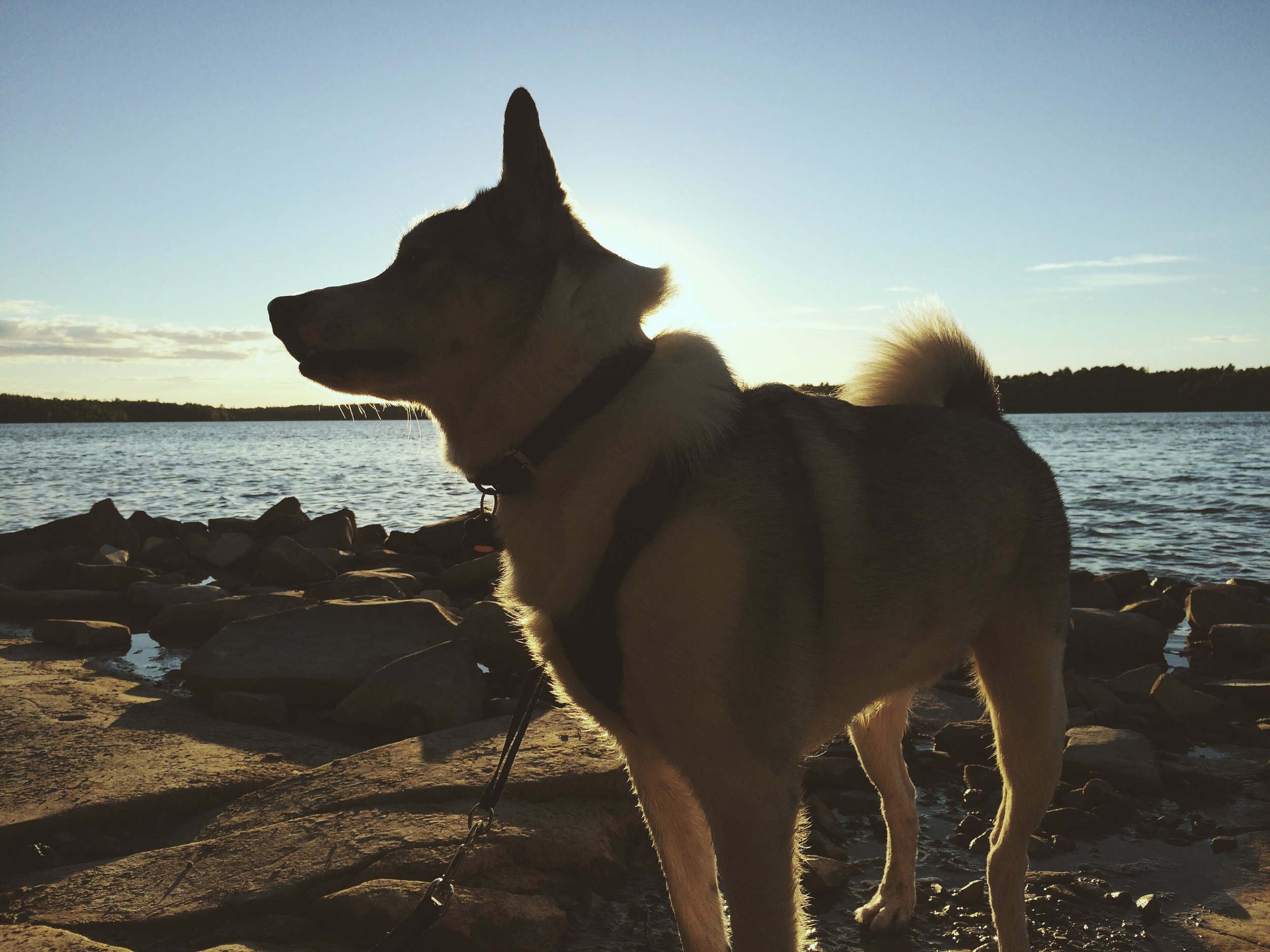 Camping in the Bruce Peninsula in Northern Ontario
