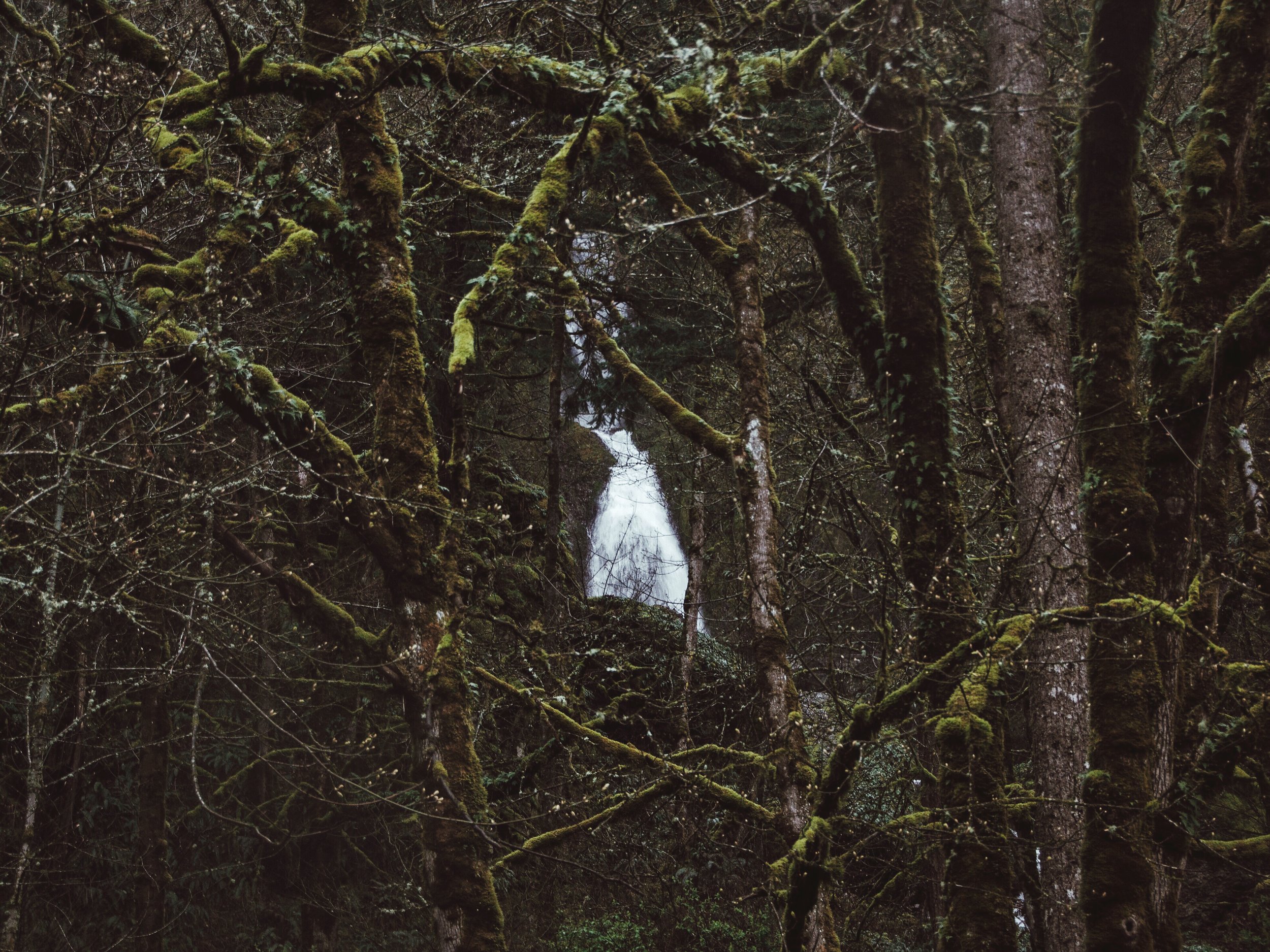 Roadtrip to Multnomah Falls
