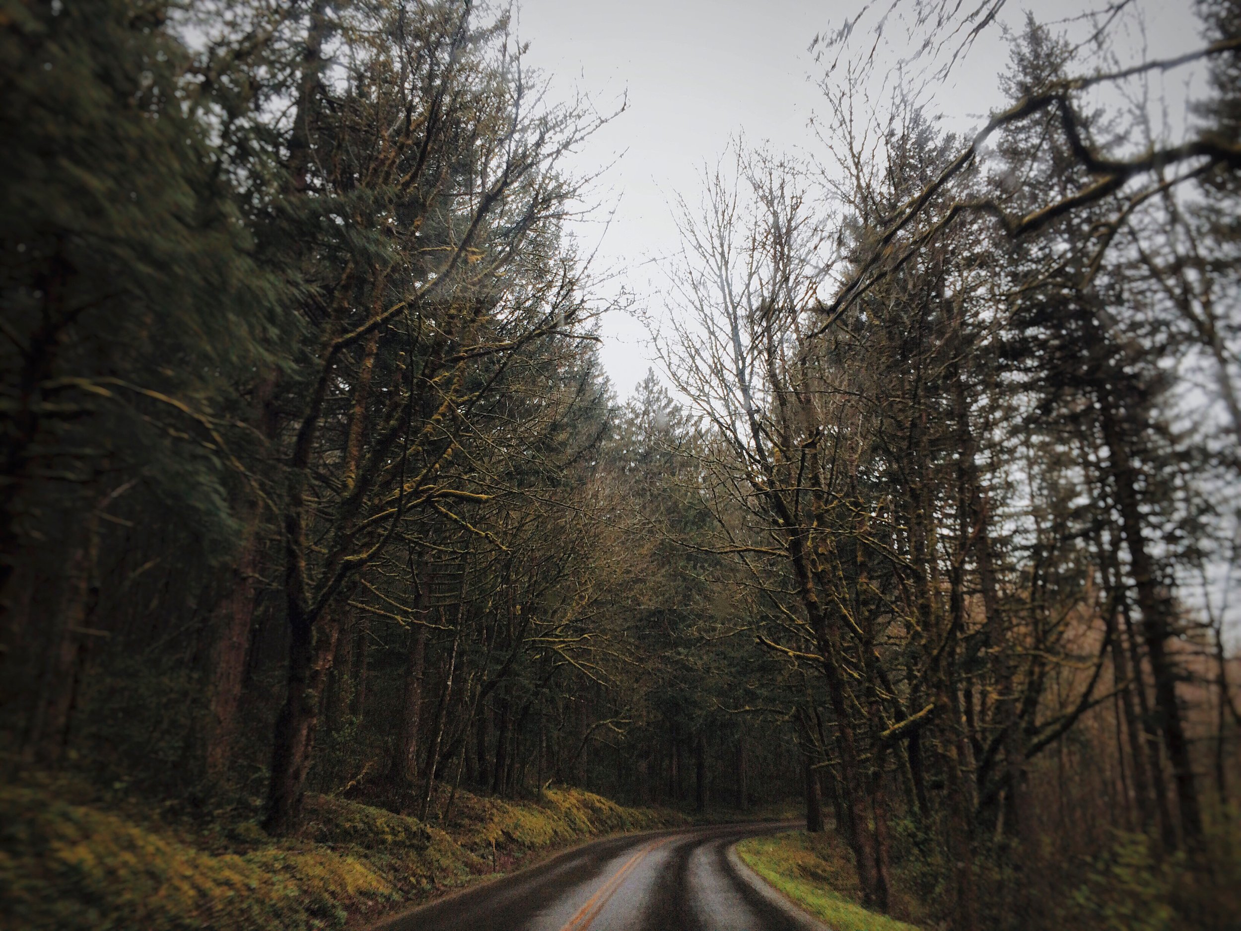 Roadtrip to Multnomah Falls