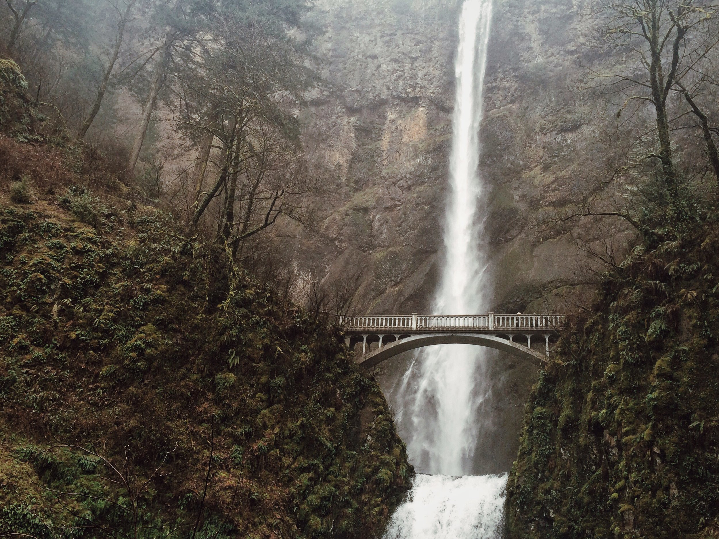 Multnomah Falls near Portland, Oregon.
