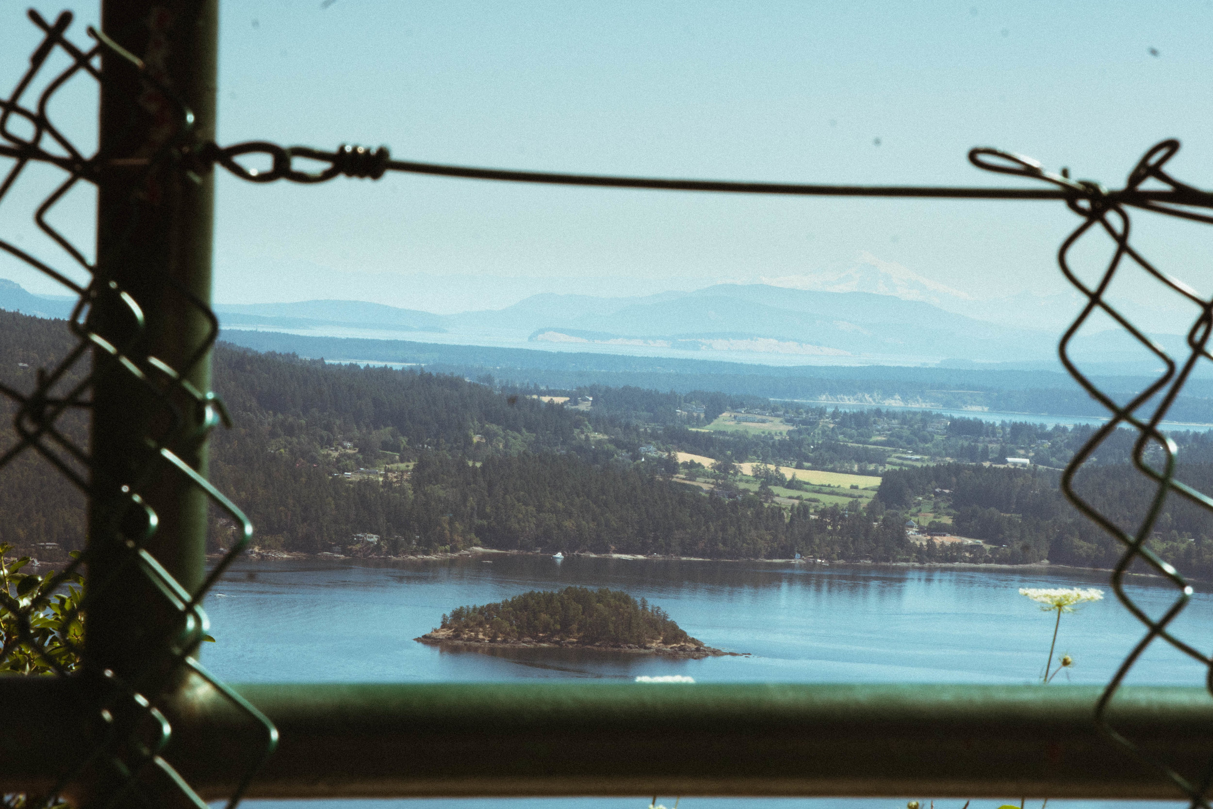tofino-2.jpg