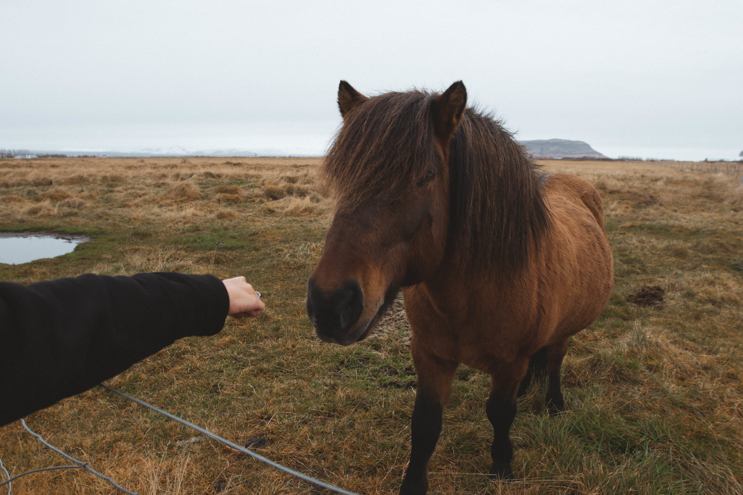 iceland-1.jpg