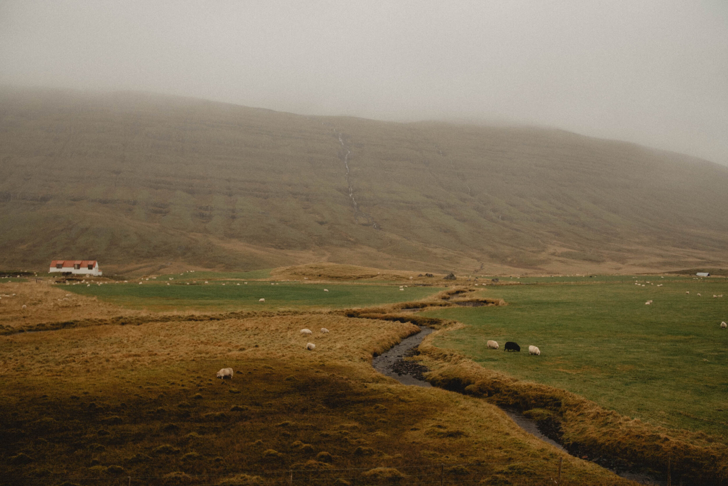 fornewsite-1-4.jpg