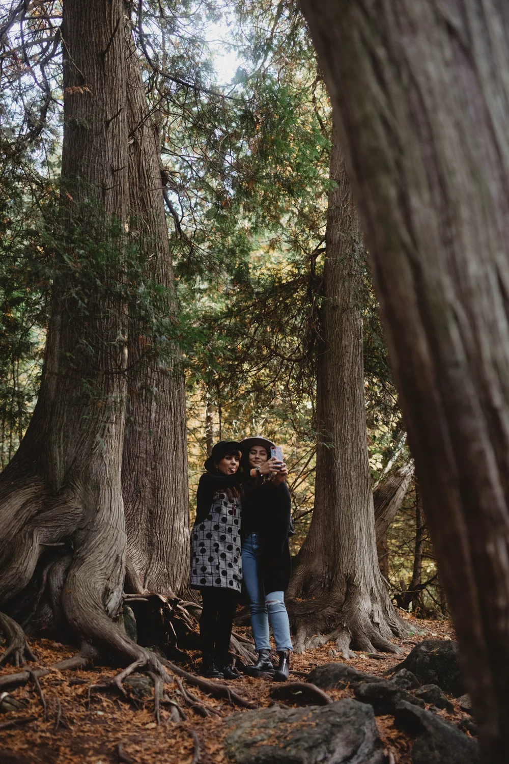 fall-6.jpg