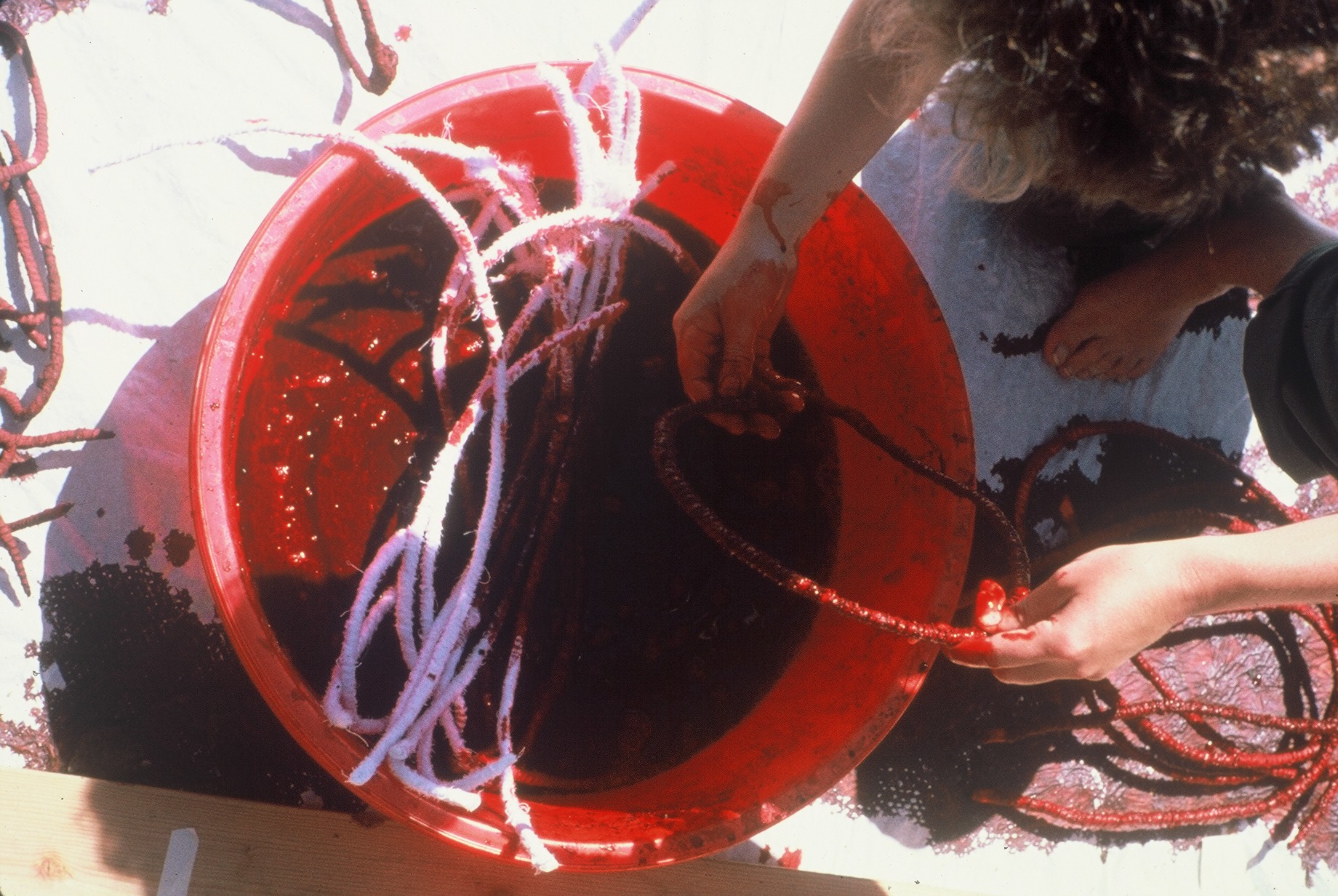    On the Way Inside   ,      1988 (Work in Progress) Spring Show, San Francisco Art Institute, USA Image 3/5 
