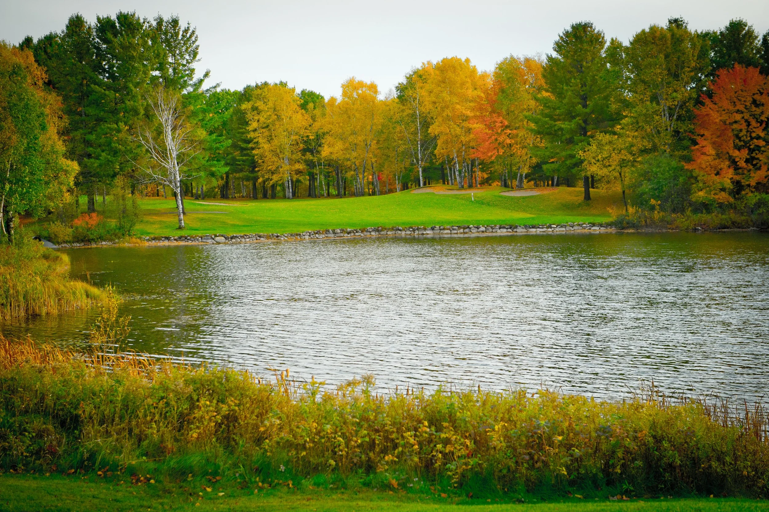 DSC_0690.jpg