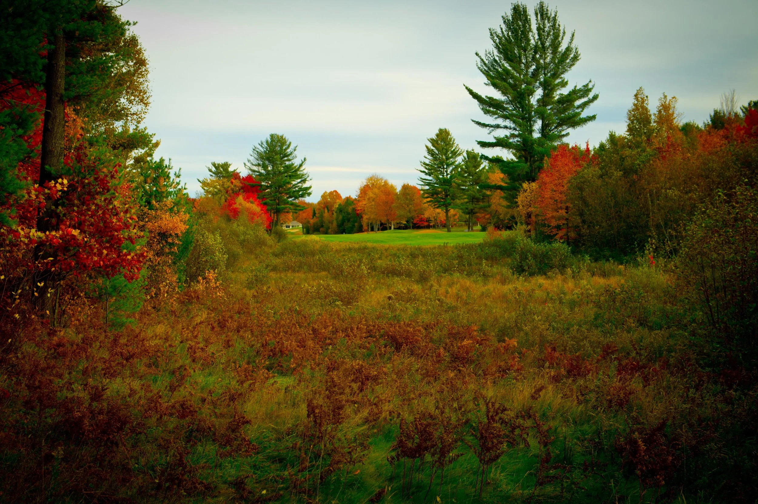 DSC_0544.jpg