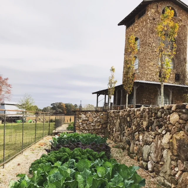 The Vegetable Garden