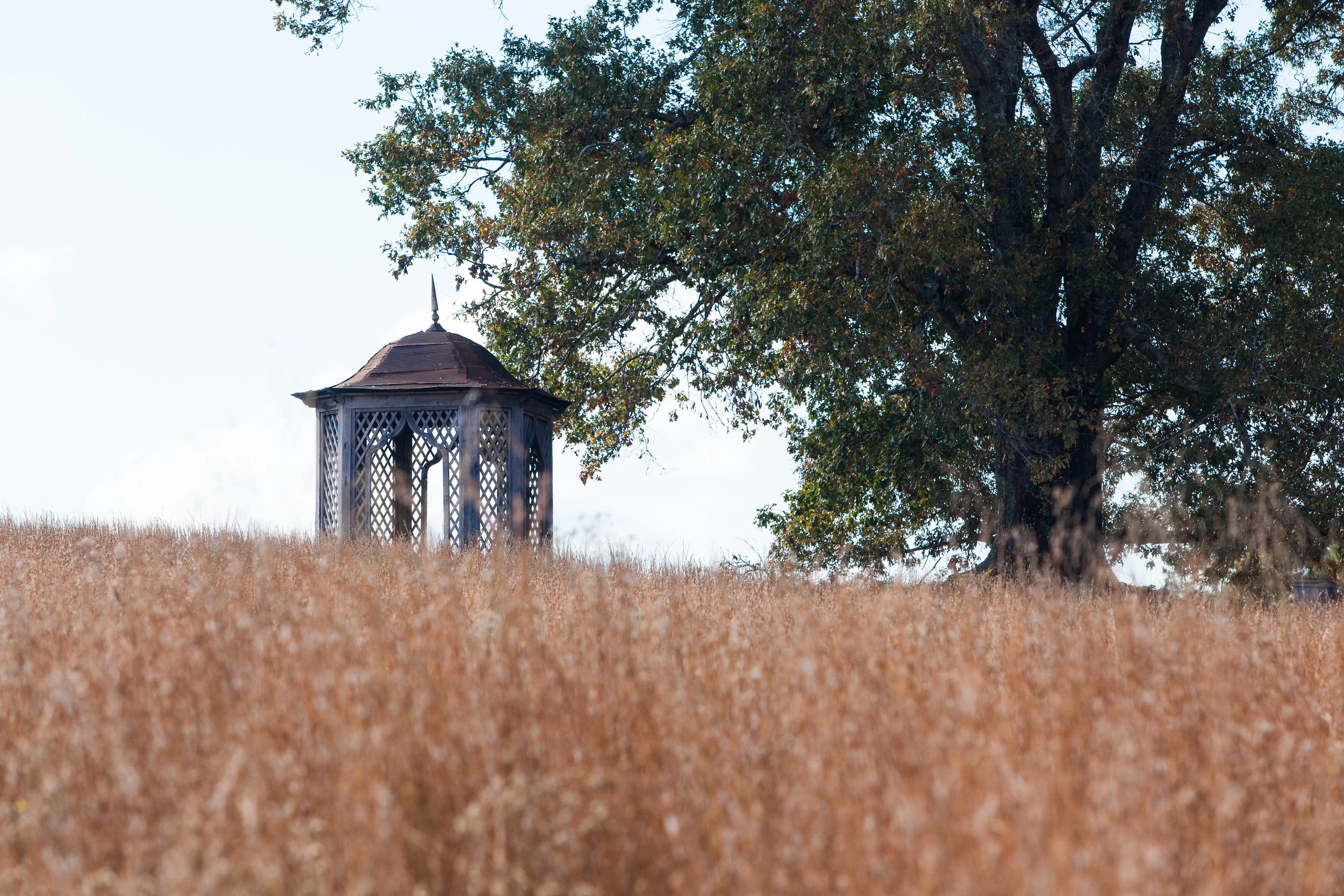 The Gazebo