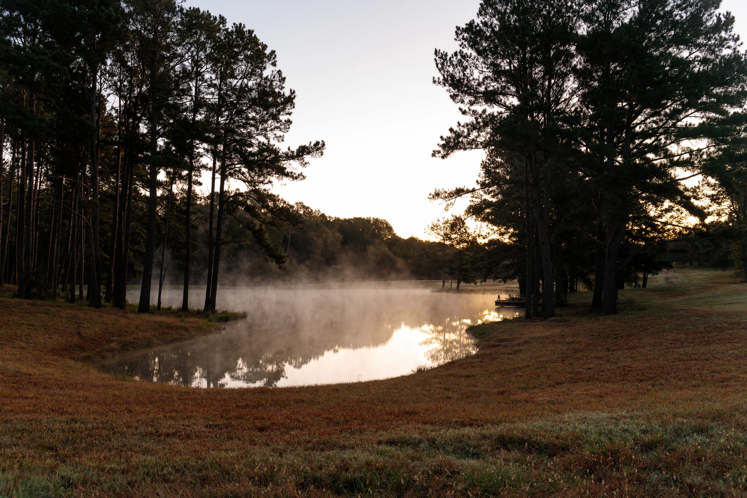 The Lake 1